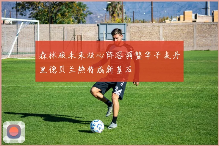 森林狼未来核心阵容调整华子麦丹里德贝兰热将成新基石